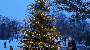 Geschmückter und beleuchteter Weihnachtsbaum in der Dämmerung.