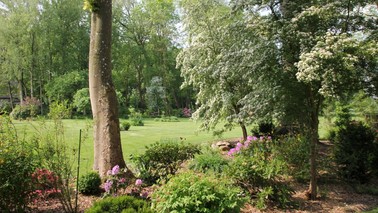 Blick von einer Randbepflanzung mit Bäumen über eine Rasenfläche