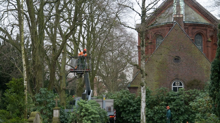 Mitarbeiter des Gartenbauamtes bei der Baumkontrolle mit Hubsteiger