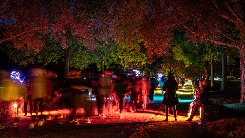 Eine Menschenmenge auf einem Parkweg im Speckenbüttelerpark mit bunter Beleuchtung