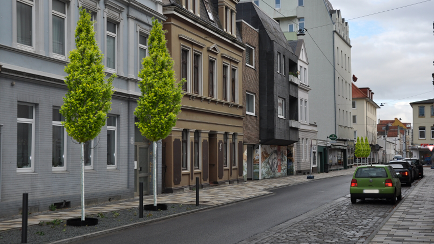 Mit einem Bildbearbeitungsprogramm wurden zwei Bäume begrünt. Zwei Säuleneichen in der Kistnerstraße