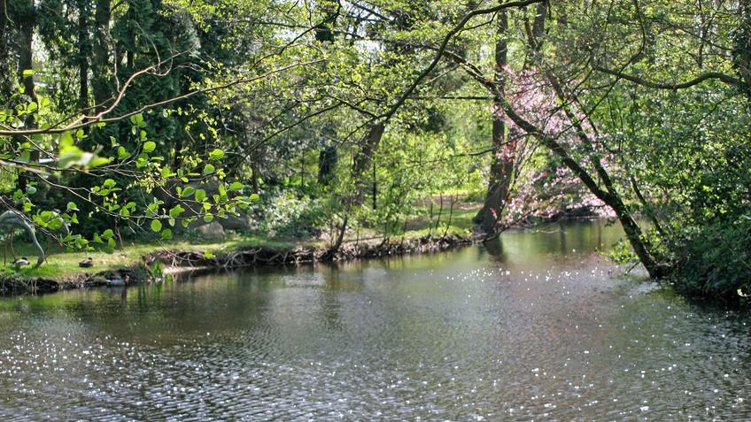 Teich in Thieles Garten