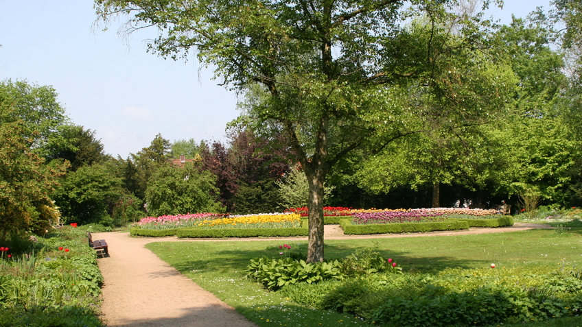 Weg im Bürgerpark