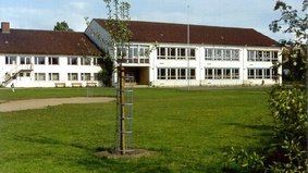 Im Vordergrund ist ein Baum auf einer weiten Rasenfläche zu sehen, im Hintergrund steht die Amerikanische Schule.