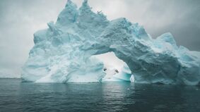 Projekt: Antarktis 
