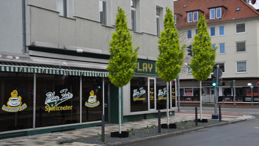 Mit einem Bildbearbeitungsprogramm wurden drei Bäume begrünt. Drei Säuleneichen am Eingang der Hafenstraße