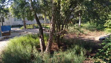Bäume und Sträucher auf dem Naturspielplatz zum Verstecken