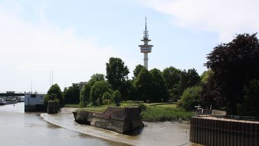 A disused dock in the foreground, behind trees stands a radio tower.