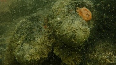 Gestapelte 120 mm Granaten am Meeresboden