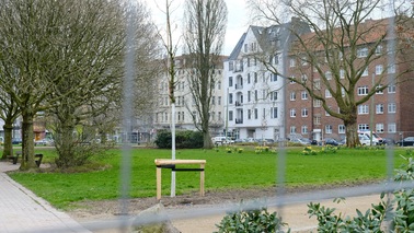52 junge klimaangepasste Zerr-Eichen sind auf dem Waldemar-Becké-Platz in Bremerhaven gepflanzt worden. 