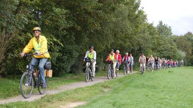  A group of cyclists pedal past a forest.