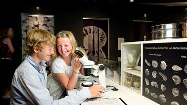 Zwei Kinder sitzen an einem Forschertisch und schauen durch ein Mikroskop