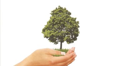  A piece of paper on which a hand and a tree with lettering can be seen.